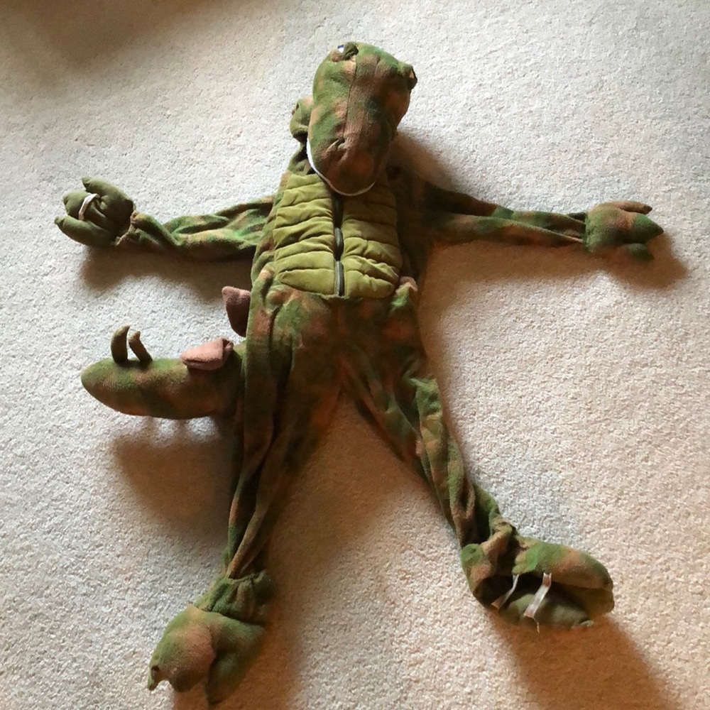 Adorable Trex costume 3T-4T